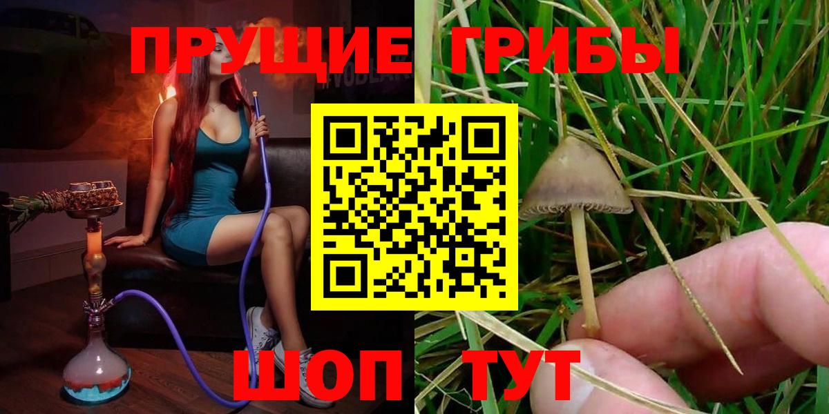 Псилоцибиновые грибы GOLDEN TEACHER Учалы